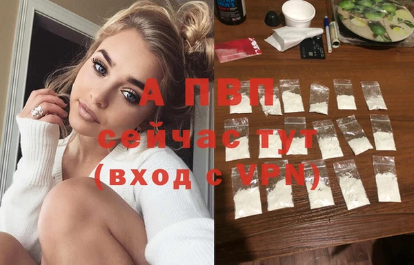 прущие крисы Белокуриха